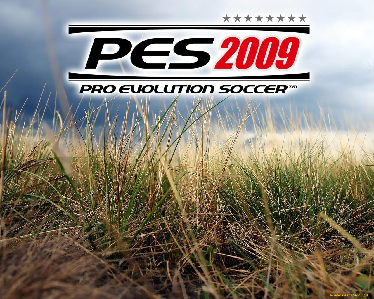 pro, evolution, soccer, 2009, , 